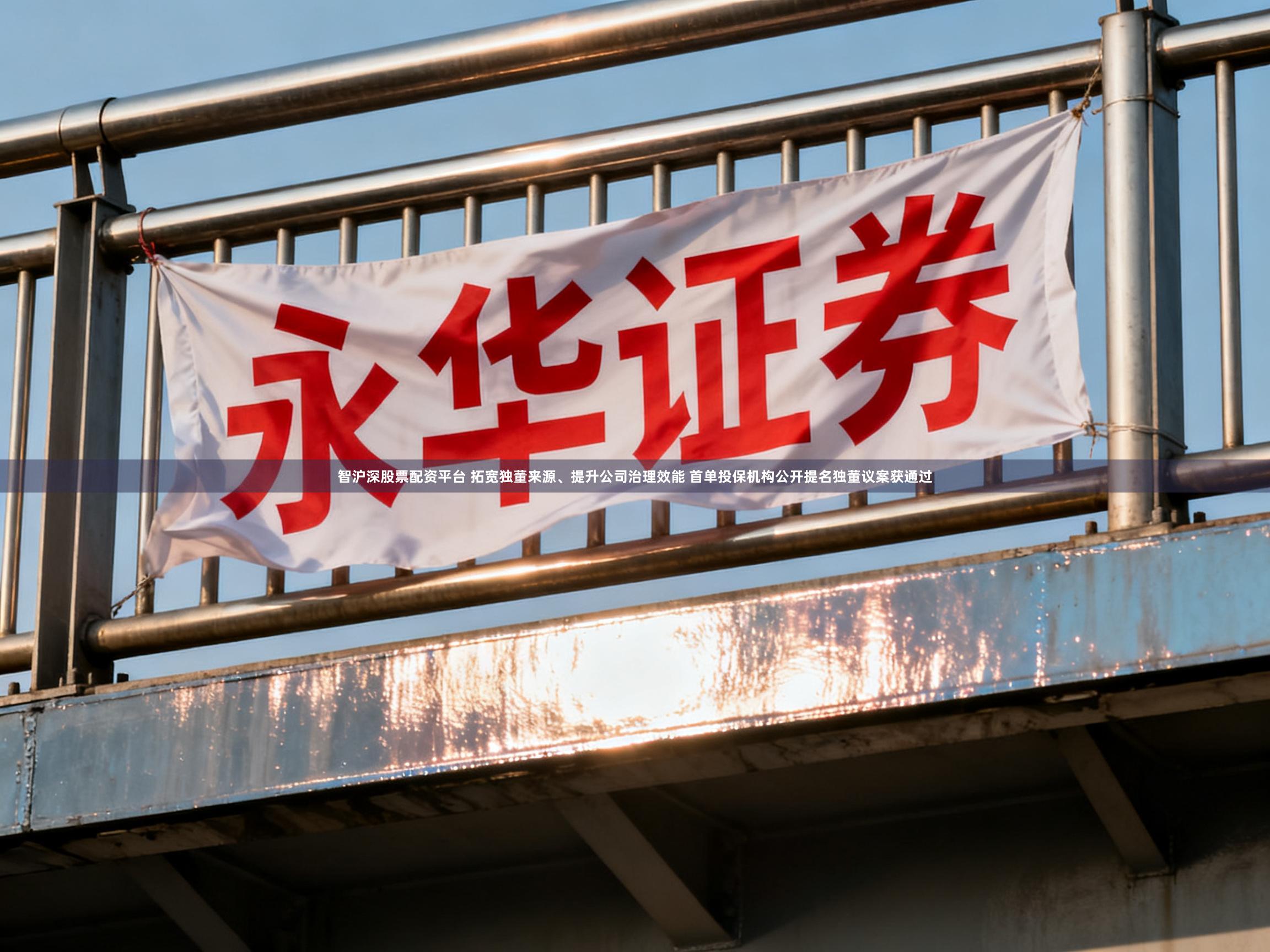 智沪深股票配资平台 拓宽独董来源、提升公司治理效能 首单投保机构公开提名独董议案获通过