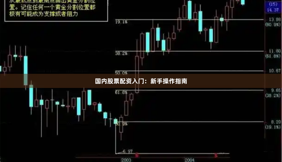 国内股票配资入门:新手操作指南
